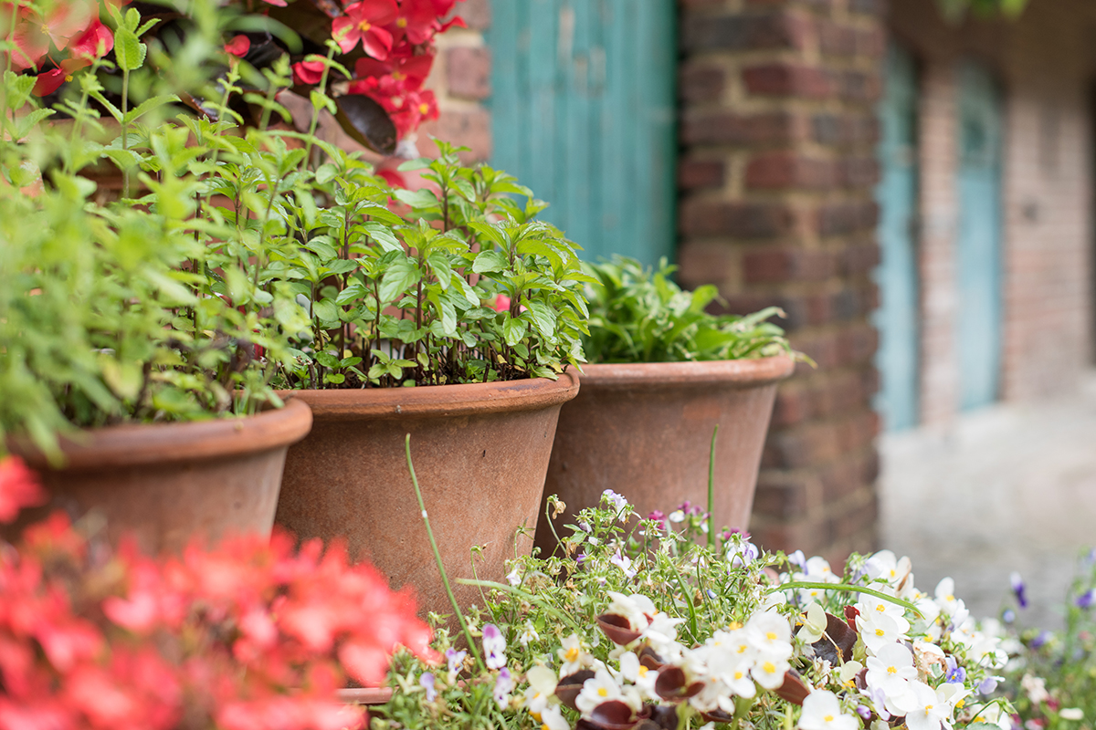 Afbeelding van je resultaat