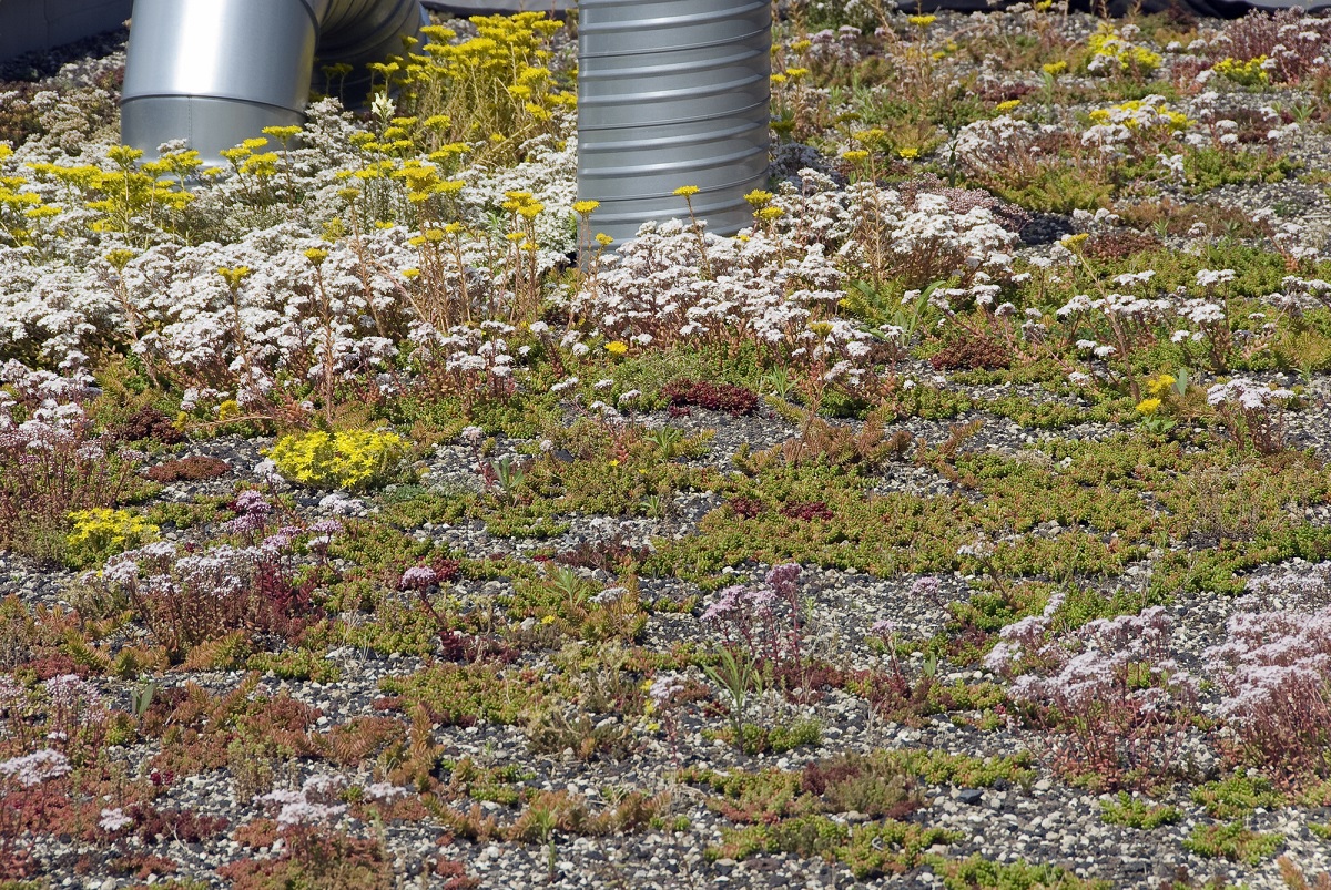 Afbeelding van je resultaat